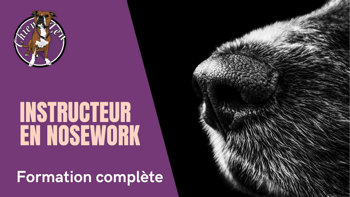 Formation Instructeur en Détection sportive & Nosework