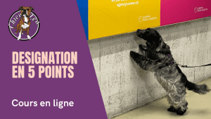 Désignation en 5 points