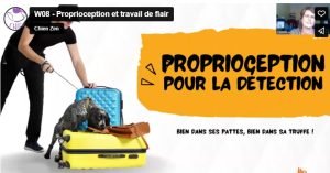 Webinaire proprioception et travail de flair