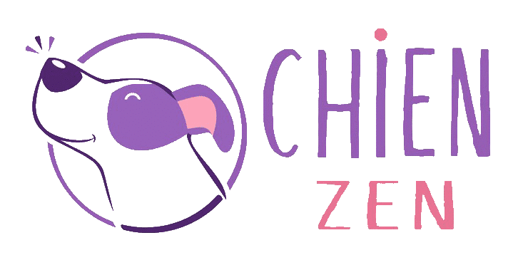 Logo Chien Zen Academy